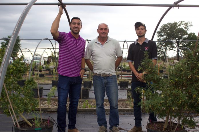 ohio_hemp_company_feature_1 Three men stand near hemp plants growing in pots in a hoophouse.
