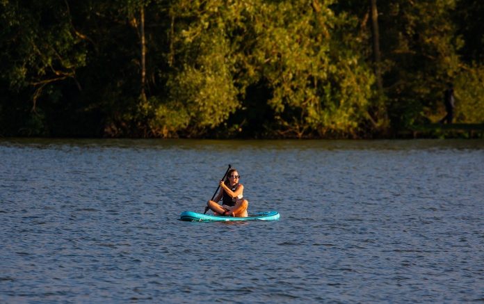 paddle board paddle board
