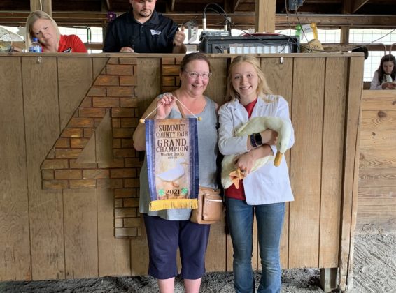 Grand Champion Duck