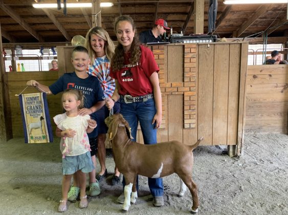Grand Champion Goat