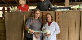 Grand Champion Rabbits