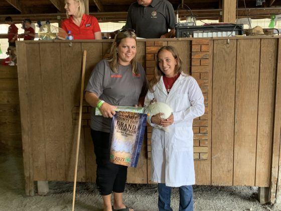Grand Champion Rabbits