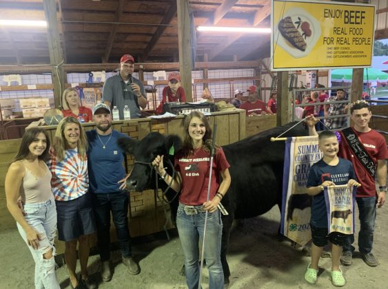 Grand Champion Steer