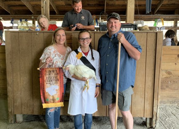 Reserve Champion Chicken