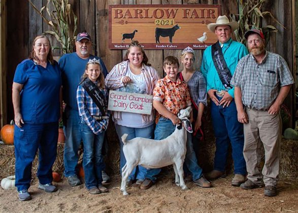 Grand Champion Goat