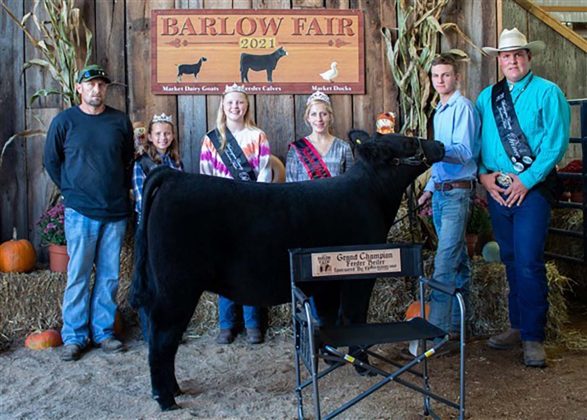 Grand Champion Feeder Calf Heifer