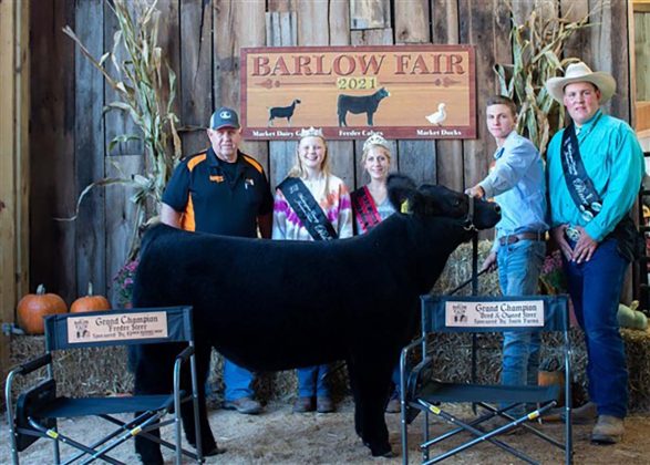 Grand Champion Steer