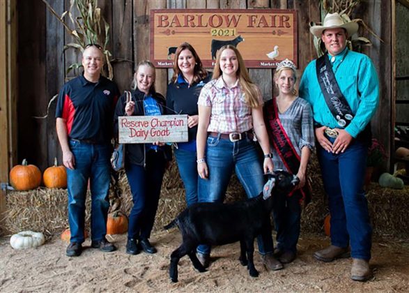 Reserve Champion Goat