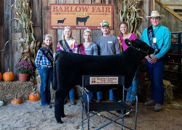 Reserve Champion Feeder Calf Heifer