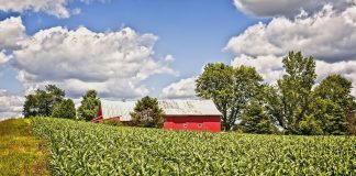 Ohio barn