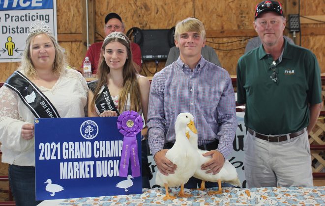 Grand Champion Duck