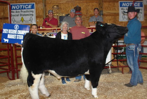 Reserve Champion Steer