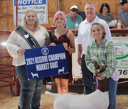 Reserve Champion Goat