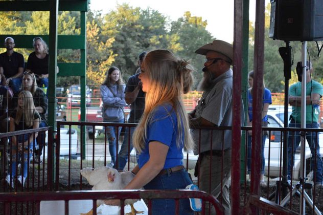 Reserve Champion Chicken Pen