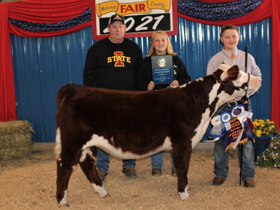 Grand Champion Beef Heifer Feeder