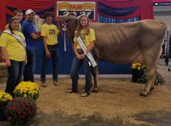 Grand Champion Cheese Basket