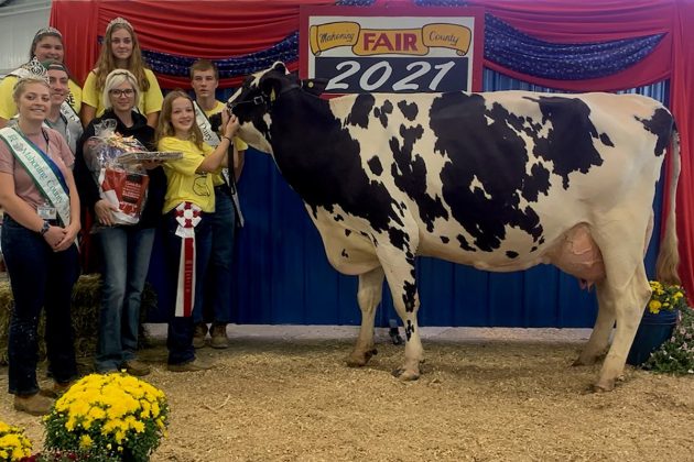 Reserve Champion Dairy Cheese Basket