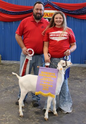 Reserve Champion Dairy Market Goat