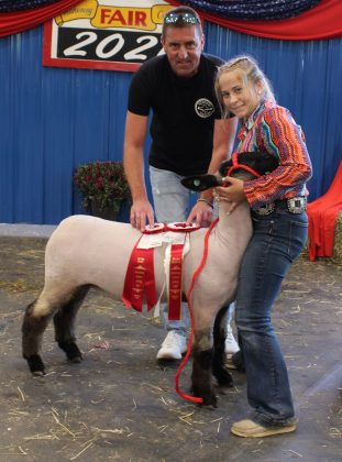 Reserve Champion Lamb