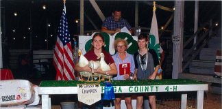 Grand Champion Ducks
