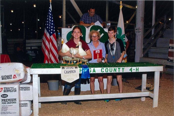 Grand Champion Ducks Grand Champion Ducks