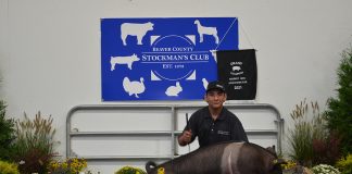Grand Champion Hog