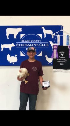 Grand Champion Chickens