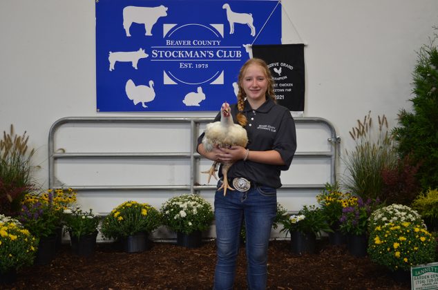 Reserve Champion Chickens