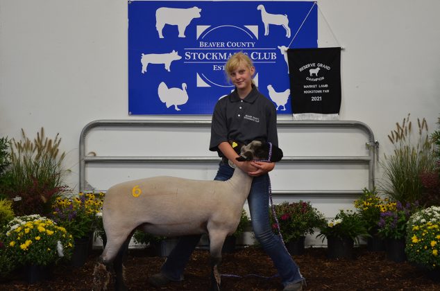 Reserve Champion Lamb