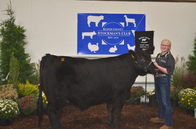Reserve Champion Steer