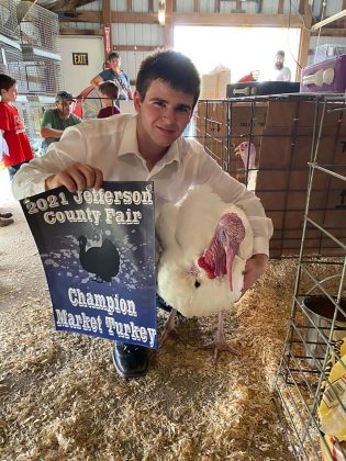 Grand Champion Turkey