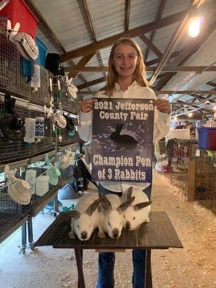 Grand Champion Rabbits