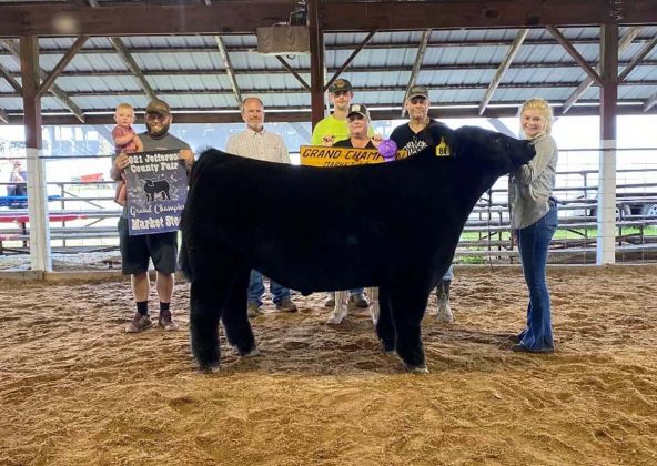 Grand Champion Steer