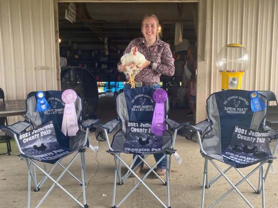 Grand Champion Chickens