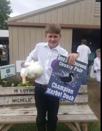 Grand Champion Duck