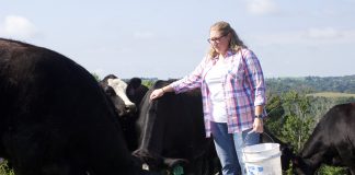 A woman stands with several beef cattle after pouring out some grain for them in a pasture on her family farm, in West Virginia.