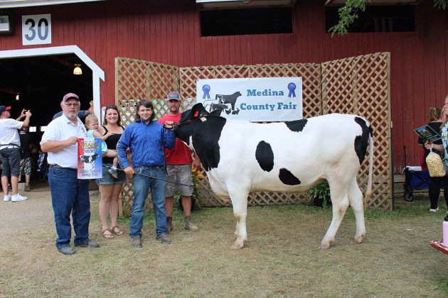 Grand Champion Dairy Beef Steer