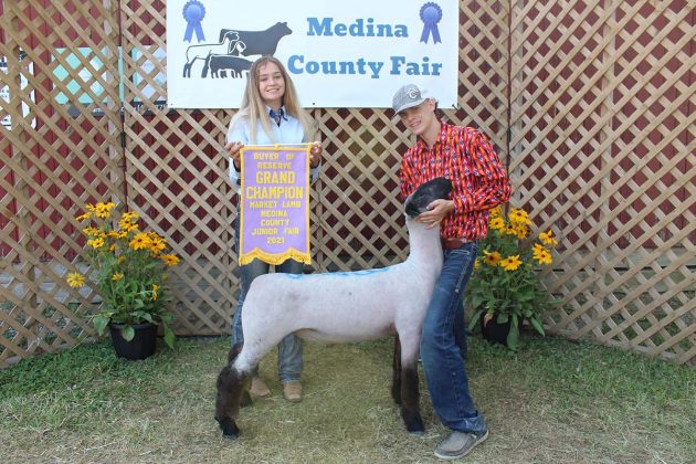 Reserve Champion Lamb