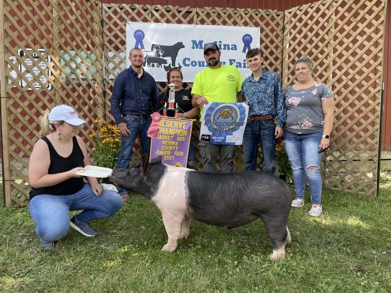 Reserve Champion Hog