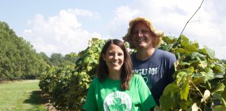 A man and a woman stand in a vineyard.