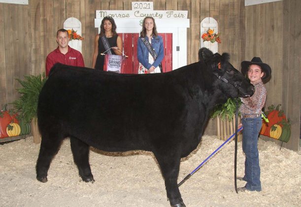 Grand Champion Steer