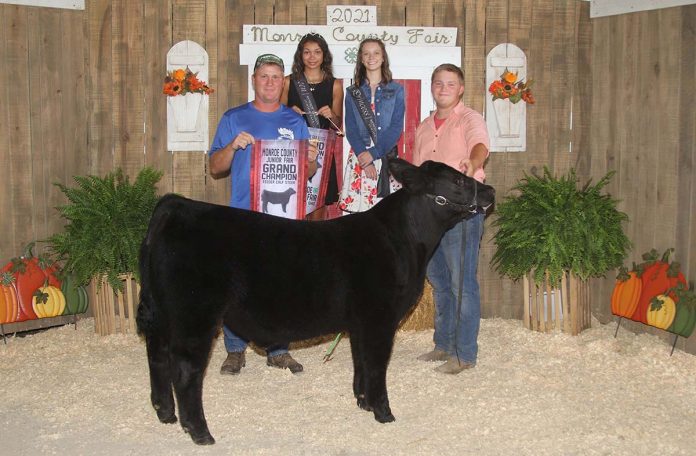 Grand Champion Feeder Calf Steer Grand Champion Feeder Calf Steer