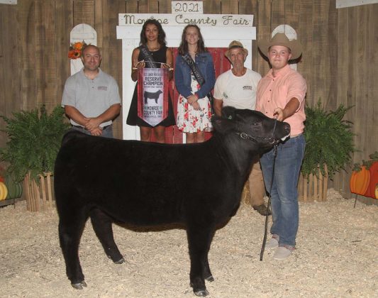 Reserve Champion Feeder Calf Heifer