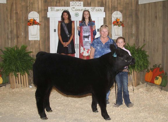 Reserve Champion Feeder Calf Steer