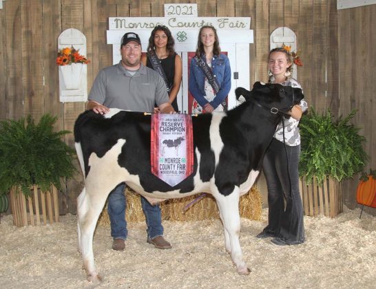 Reserve Champion Dairy Feeder