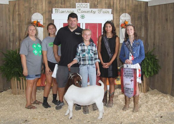 Reserve Champion Meat Doe