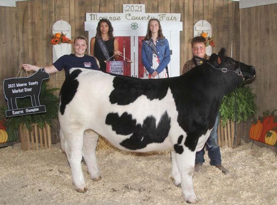 Reserve Champion Steer