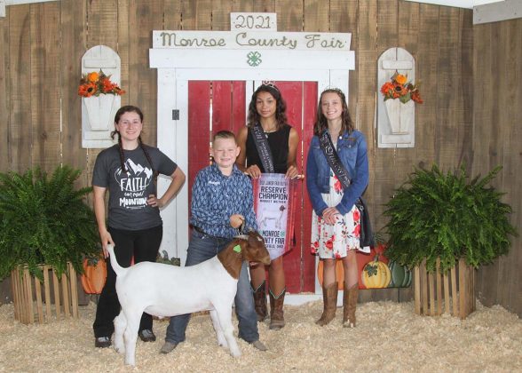 Reserve Champion Market Wether