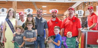 Grand Champion Lamb