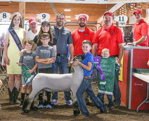 Grand Champion Lamb